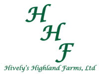 Hively